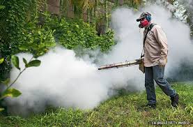 Mosquito Control